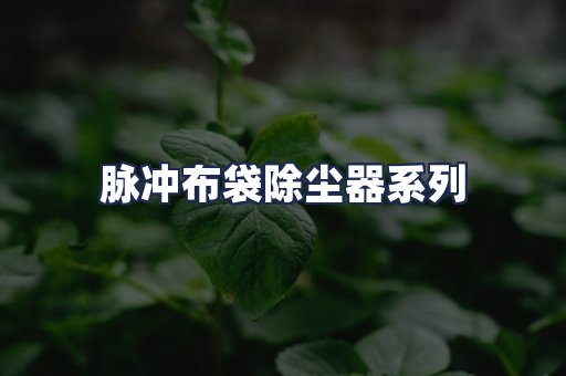 脉冲布袋除尘器系列